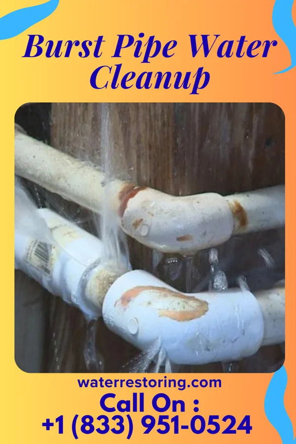 Burst Pipe Water Cleanup in Venango, PA