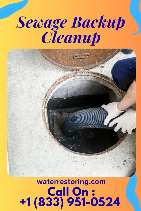 Sewage Backup Cleanup in Venango, PA